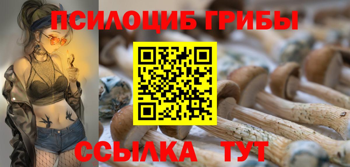 Ульяновск  купить наркотики цена  Вход с VPN  Псилоцибиновые грибы мухоморы 